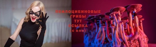 герыч Майский