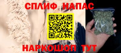 скорость Кингисепп