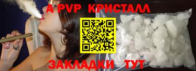 скорость Кингисепп
