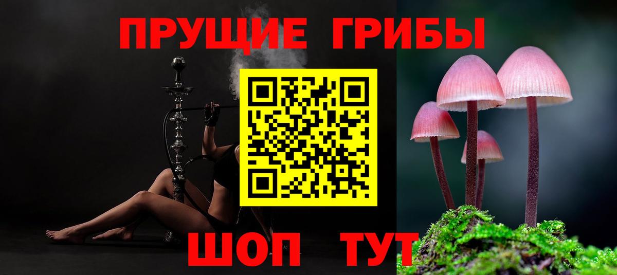 Тайшет  Галлюциногенные грибы Psilocybe  где купить   Вход с VPN 