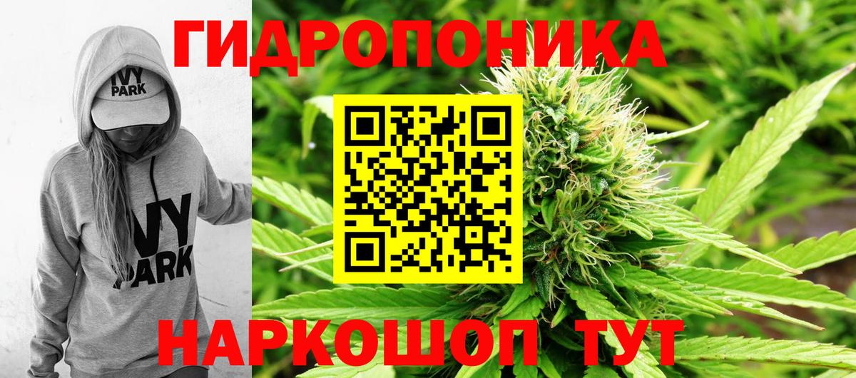 Бошки марихуана тримм Тайшет